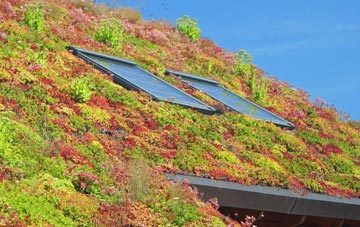 Bexwell living roof systems